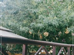 -麦落精酿啤酒餐吧(先农大院店)