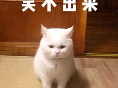 -椰子下蛋(南锣鼓巷店)