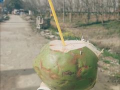 -南汇新城海滩
