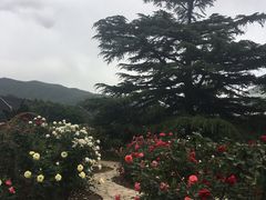 -国家植物园南园