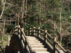 -花岩国家森林公园