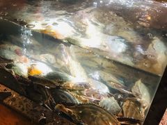 -甄御•海鲜新青岛菜(麦岛店)