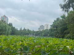-包公祠