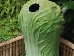 景点-观光南瓜园