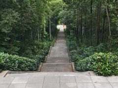 -青龙山国家森林公园