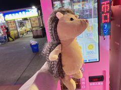 -大学城夜市大排档(凤栖路店)