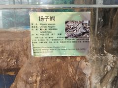-上海大自然野生昆虫馆(东方明珠·爬宠昆虫探索中心)
