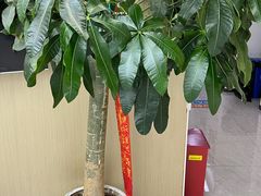 -新航道雅思托福·留学·考研培训(人民广场校区)