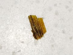 -百年尹氏汤包(湖南路狮子桥店)