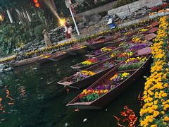 -荔湾湖公园