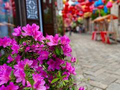 -老门东历史文化街区