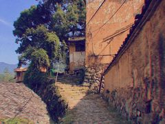 -杨家堂村