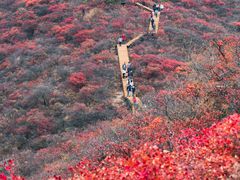 -水峪民俗村