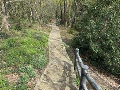 -上海佘山国家森林公园天马山园