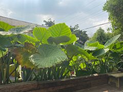 -悦哉·派对·草坪婚礼·围炉煮茶(三圣乡店)