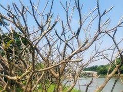 -怡海公园(桂城街道)