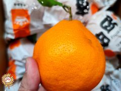 -麦德龙(嘉定店)