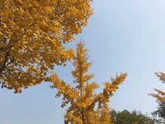 -淮海战役纪念馆