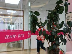 -爱月宝月嫂·育儿嫂(哈尔滨总店)