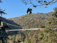 -木兰云雾山