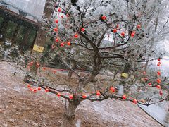 -南宫温泉水世界