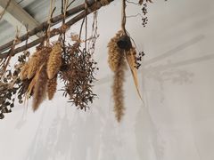 -灶咖KITCHEN