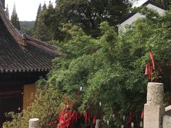 -兴福禅寺