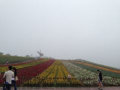 iphone_upload_pic-东部华侨城