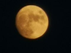 -川渔居—鱼火锅(八方汇店)