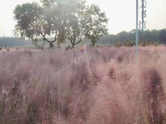 -艾溪湖湿地公园