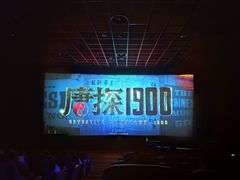 -上海金逸影城(静安大悦城店（原新恒星影城）)