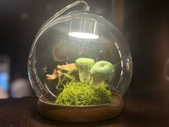 -芸山季·云南野生菌火锅(人民广场来福士店)