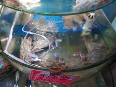 -北戴河庆山饭店·海鲜砂锅粥(北戴河黑石路店)