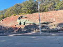 -哈尔滨北方森林动物园