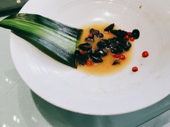 -三强鸽子(中原路店)