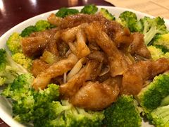 葱烧蹄筋-鸢飞潍坊菜馆(鸢飞大酒店)