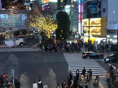 -涩谷区
