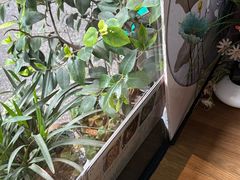 -家烧面馆【南山路知名经典面食】
