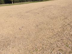 -汉长安城未央宫国家考古遗址公园