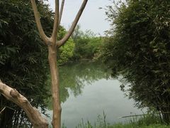 -西溪国家湿地公园