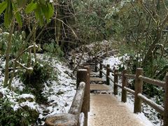 -龙苍沟森林公园