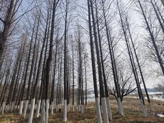 -云龙湖旅游景区