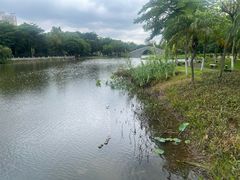 -映月湖公园