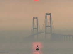 -宝安西湾红树林湿地公园