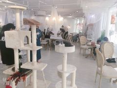 大堂-共舞时光猫咖·狗咖(新街口店)