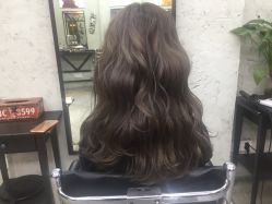 -SALON V