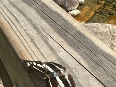 -萍乡武功山风景名胜区