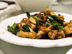 鲨鱼肚-光头匠