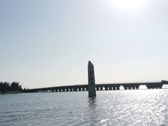 -东郊椰林