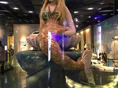 -成都泰迪熊博物馆